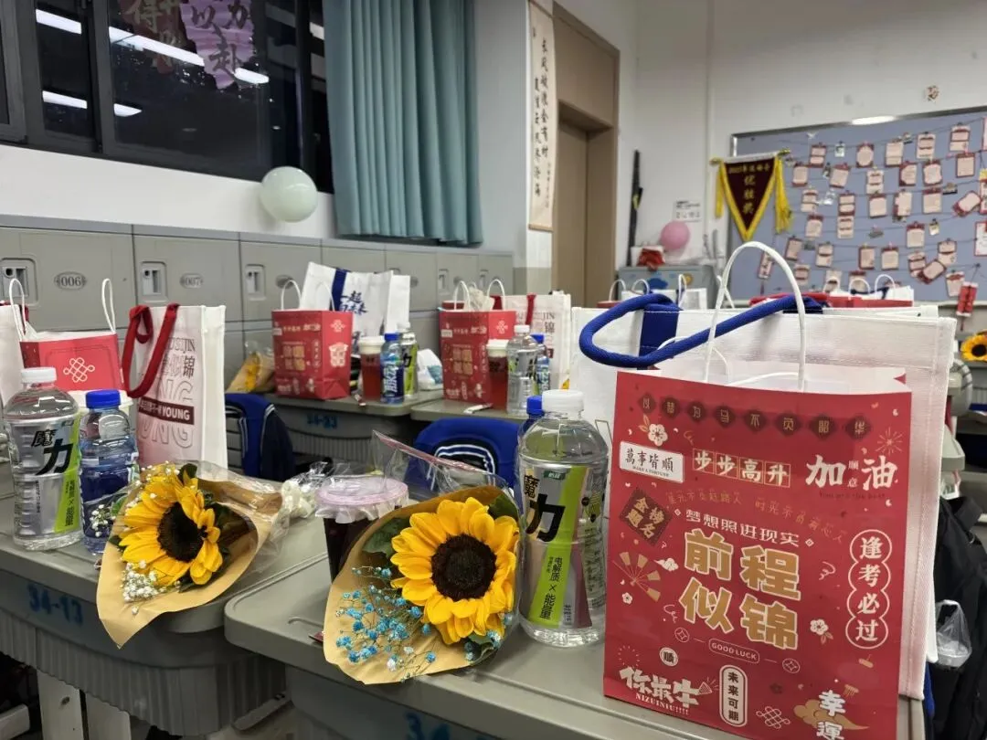 三亚崖州湾科技城寰岛实验中学中考百日誓师大会圆满举办 第53张