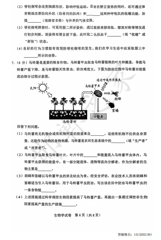 2025年河北省中考生物真题含答案) 第7张