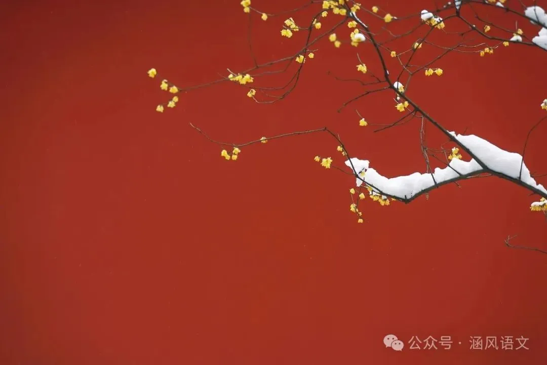 中考复习文言:《曹刿论战》中考知识点整理+最新标准版翻译译文+真题+答案01号 第3张