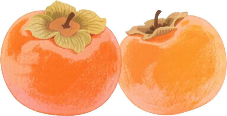 【命题培训13】让试卷“会说话”——怎么命制一份自带“解题导航”的友好? 第1张