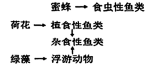 2026届上海市长宁区高三一模生物试卷 第2张