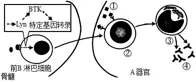 2026届上海市长宁区高三一模生物试卷 第4张