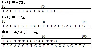 2026届上海市长宁区高三一模生物试卷 第5张