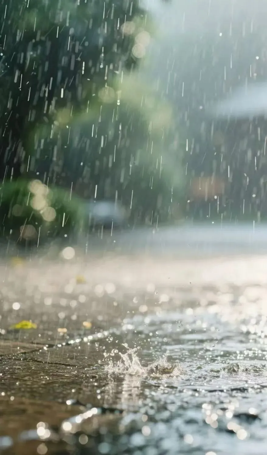 中考女生!百合花! 第1张