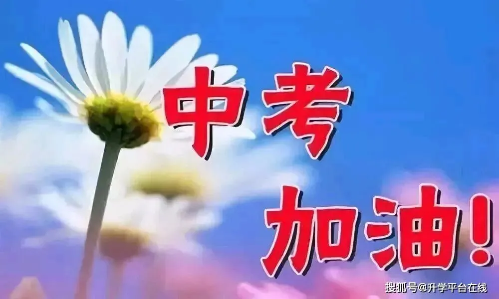 梦回中考 第2张