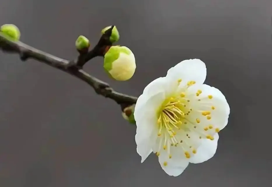 中考作文每日一读260319 第5张