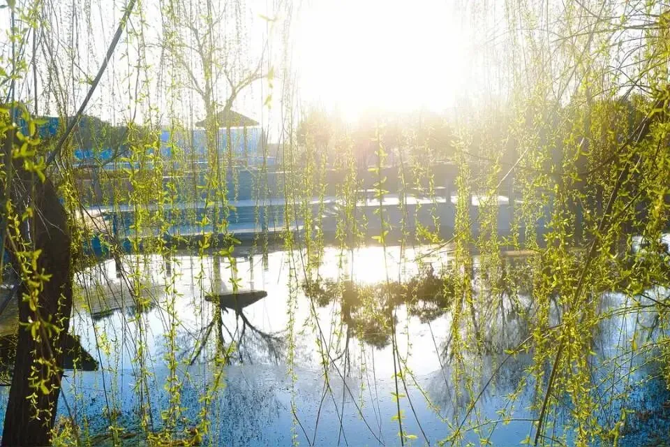 中考作文每日一读260319 第9张