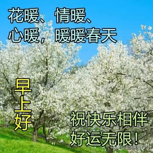 中考作文每日一读260319 第11张