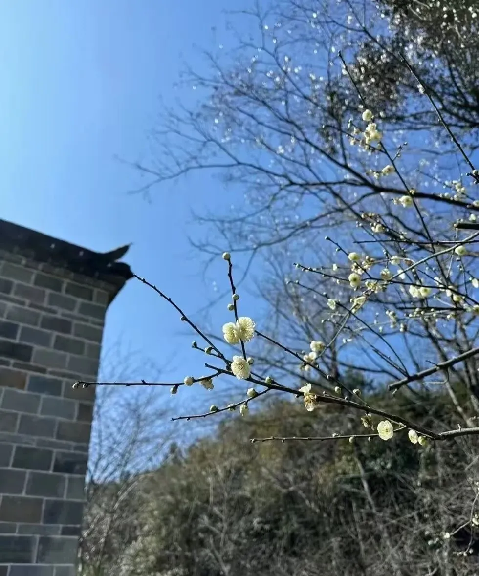 中考作文预测——书信类3篇 第2张