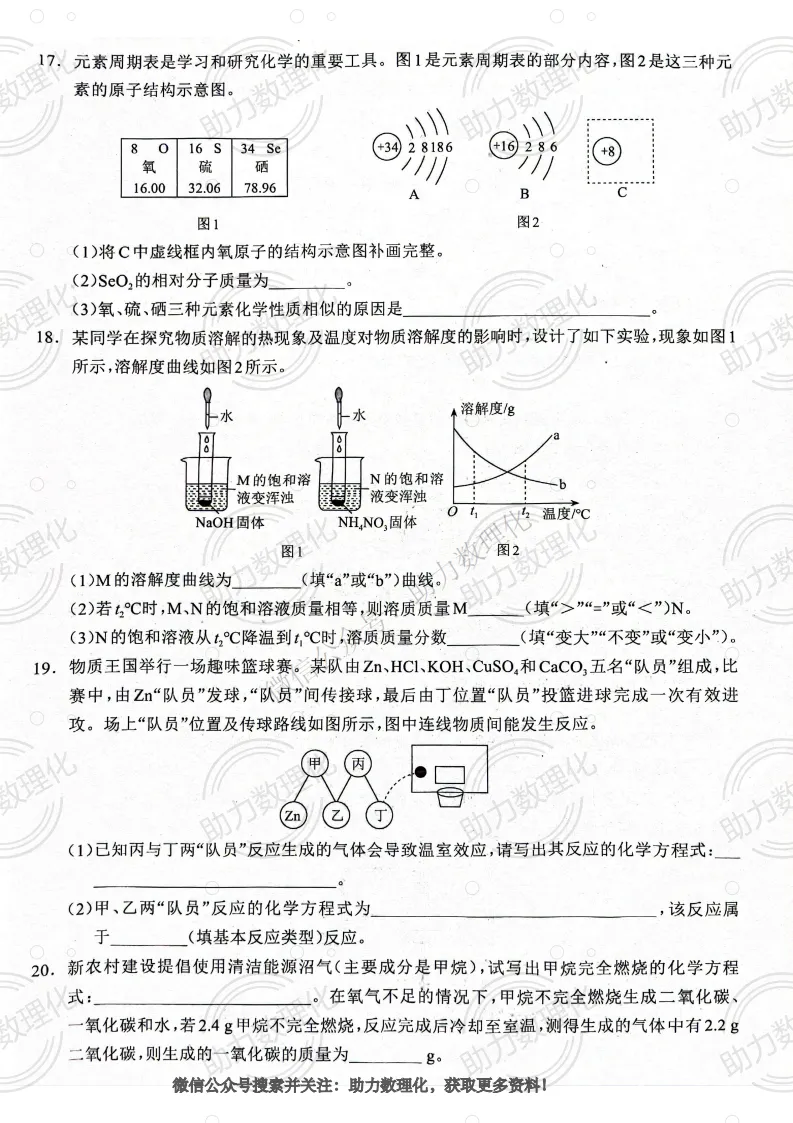 【周口模拟】2025年周口市郸城县中考一模试卷及答案(7科) 第10张