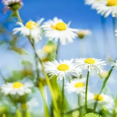 中考大变化!地理生物不算分,拼的其实是这4种能力 第4张