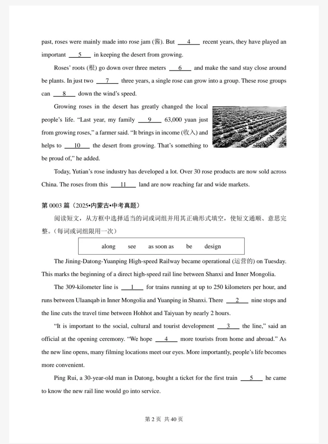 2026年中考英语总复习之选词填空100篇(01-20) 第2张