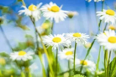 中考大变化!地理生物不算分,拼的其实是这4种能力 第7张