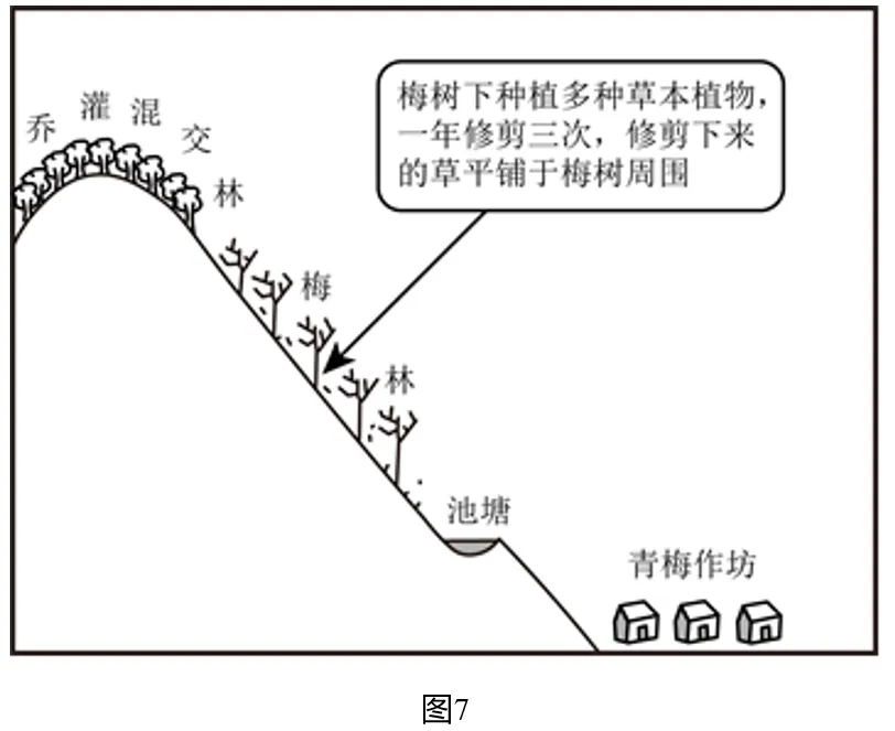 真题分析 || 2025山东地理青梅复合生产系统(地理思维的综合应用) 第2张