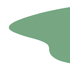 『大语文:写作(六)中考作文押题—社会生活的真实观察与思考』 第8张