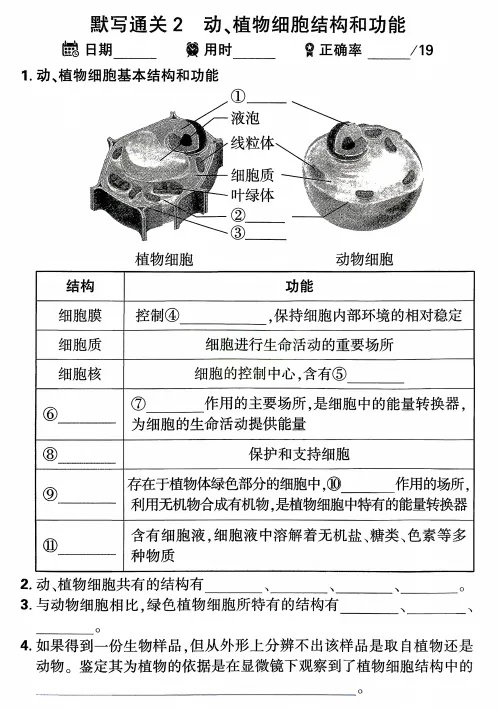 2026中考生物(早背晚默)默写通关练,共51天,打印1份掌握记牢了,考试基础“0”扣分! 第7张