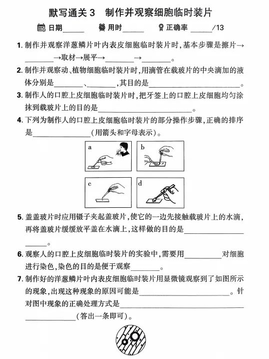 2026中考生物(早背晚默)默写通关练,共51天,打印1份掌握记牢了,考试基础“0”扣分! 第8张