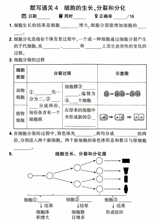 2026中考生物(早背晚默)默写通关练,共51天,打印1份掌握记牢了,考试基础“0”扣分! 第9张