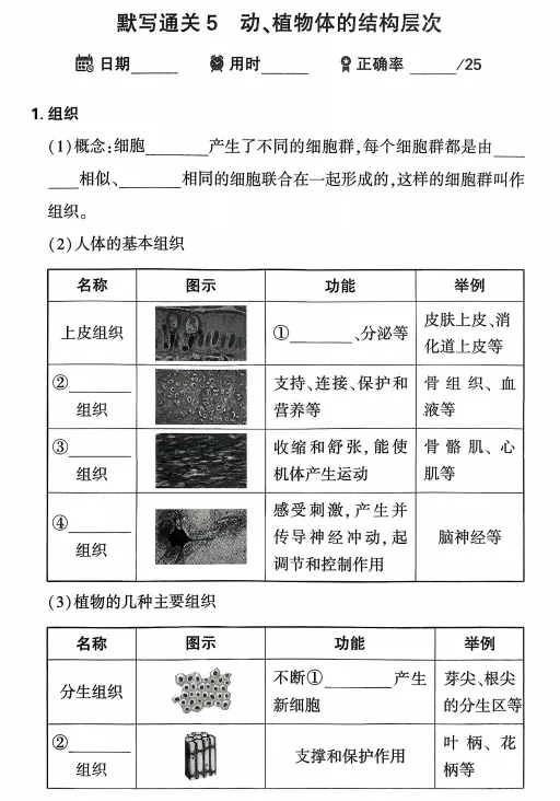 2026中考生物(早背晚默)默写通关练,共51天,打印1份掌握记牢了,考试基础“0”扣分! 第10张