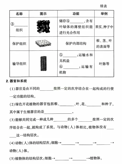 2026中考生物(早背晚默)默写通关练,共51天,打印1份掌握记牢了,考试基础“0”扣分! 第11张