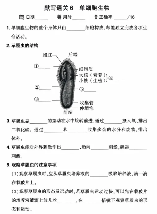 2026中考生物(早背晚默)默写通关练,共51天,打印1份掌握记牢了,考试基础“0”扣分! 第12张