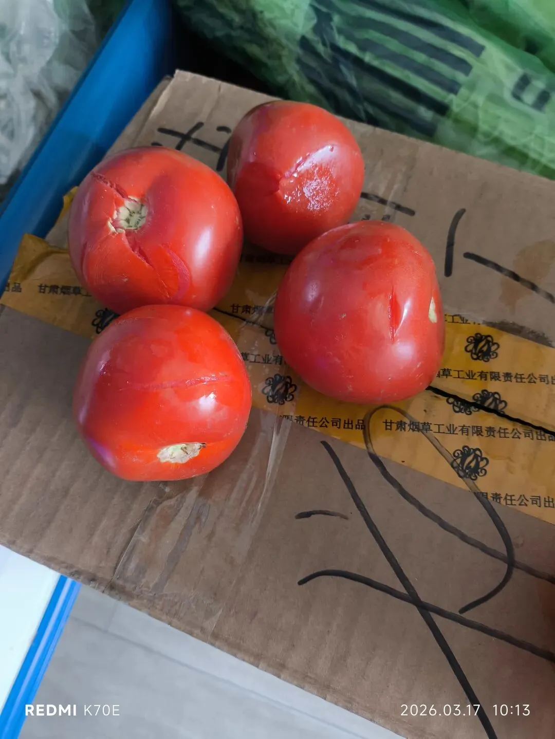 今天起,生物地理退出中考“主战场”,孩子能睡个好觉了吗? 第1张