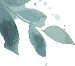 方寸之间阅千年 棋行中考亦从容——厦外初三历史备课组举办寒假创意作业成果展 第2张