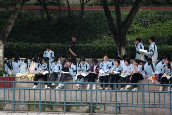 北上广深中考数据出炉,我们发现一个不妙的趋势 第13张