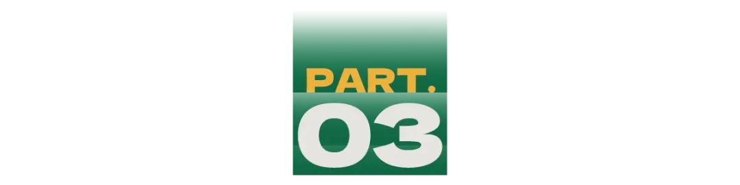 北上广深中考数据出炉,我们发现一个不妙的趋势 第20张