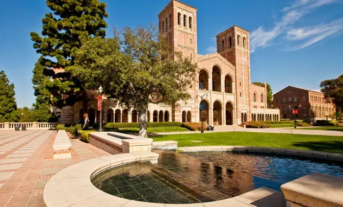 北上广深中考数据出炉,我们发现一个不妙的趋势 第36张