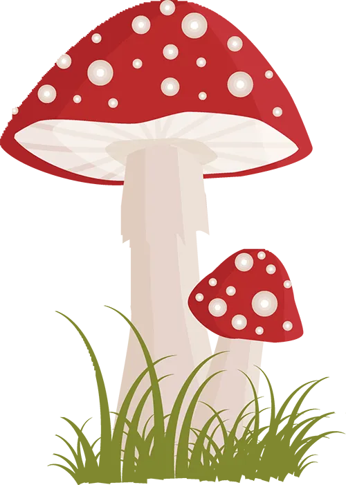 泉州市2026届高中毕业班模拟考试(一)作文 第4张