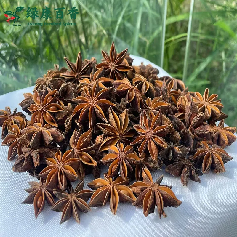 中考改革后,我为什么在厨房里找到了“绿康百香”这个新重点 第2张