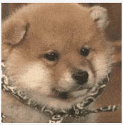 【考试不过,免费更新】现在备考计算机二级,来得及!!! 购课送电脑上机题库 第5张