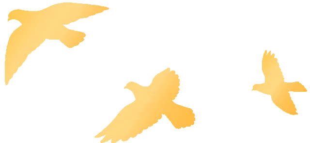 2026军队文职专业面试真题!各岗位拉分关键,精准备考 第25张