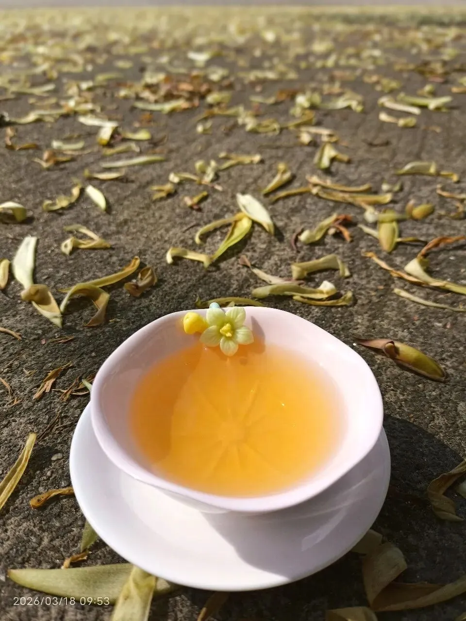 中考改革在即你们准备好了吗 第1张