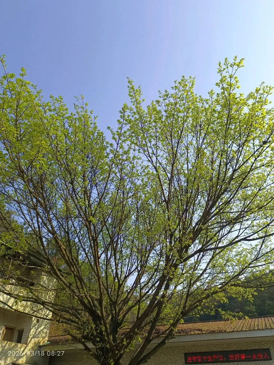 中考改革在即你们准备好了吗 第2张