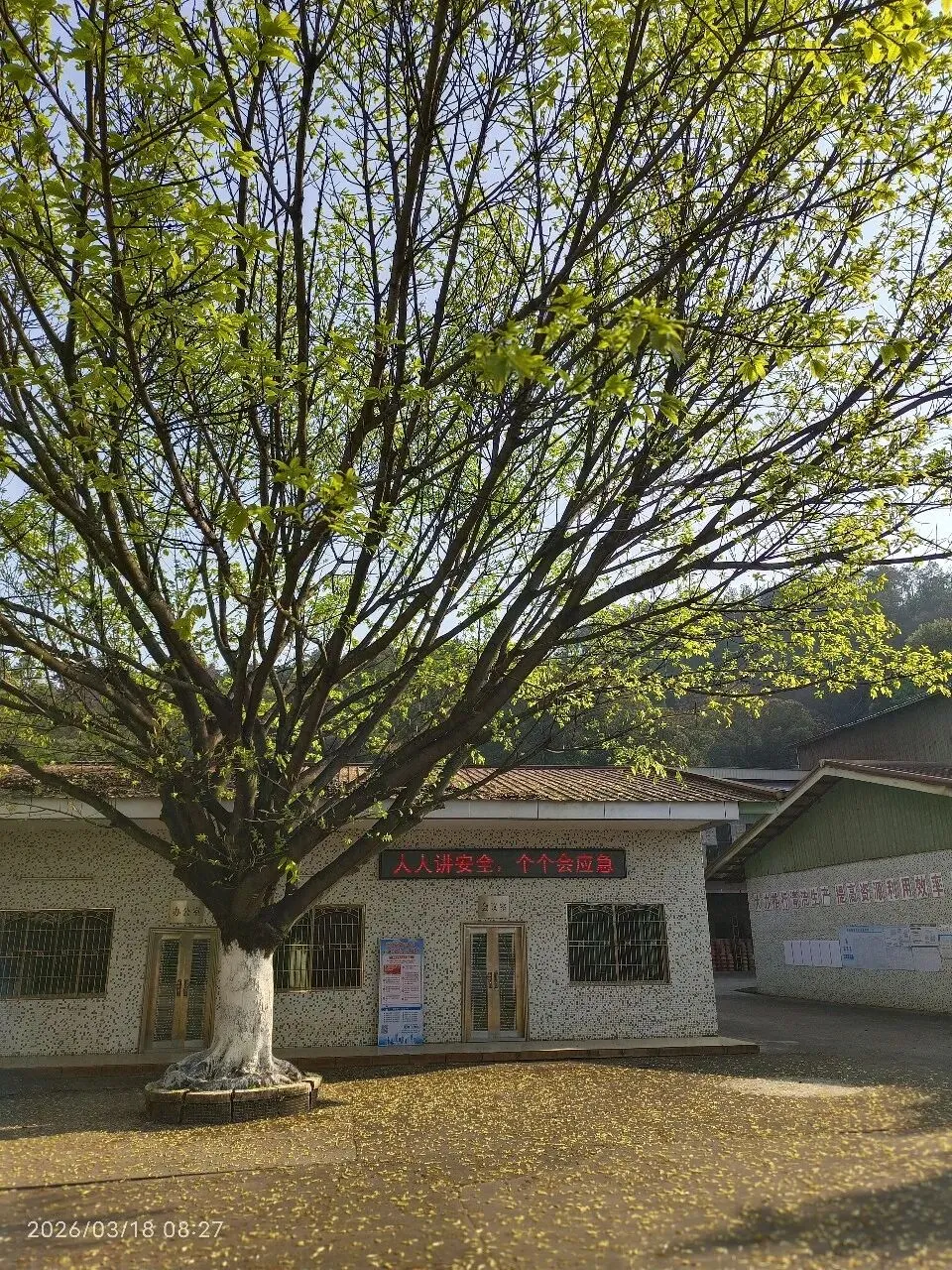 中考改革在即你们准备好了吗 第3张