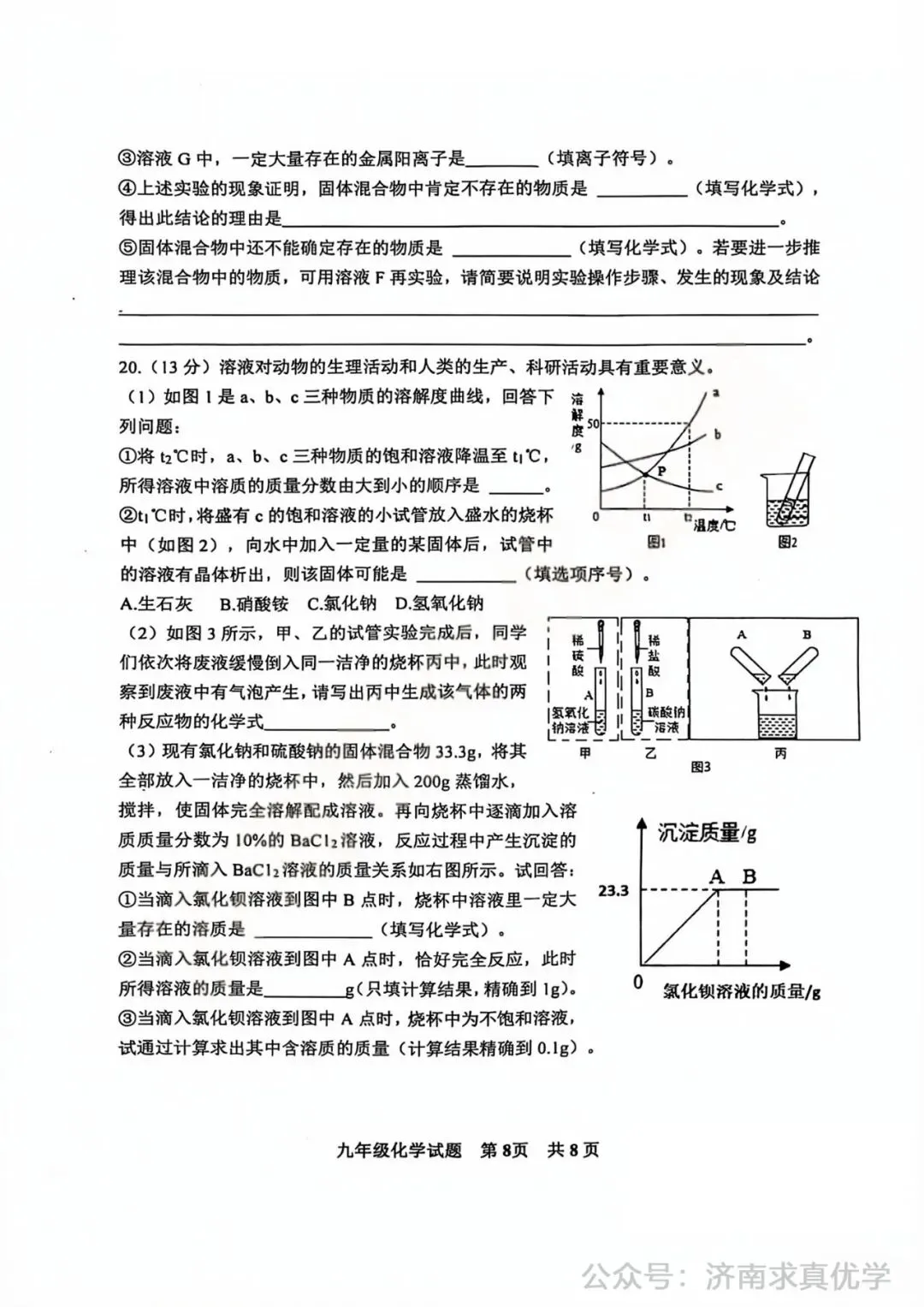 【模拟】2025年长清区中考第一次模拟考试化学试卷 第8张