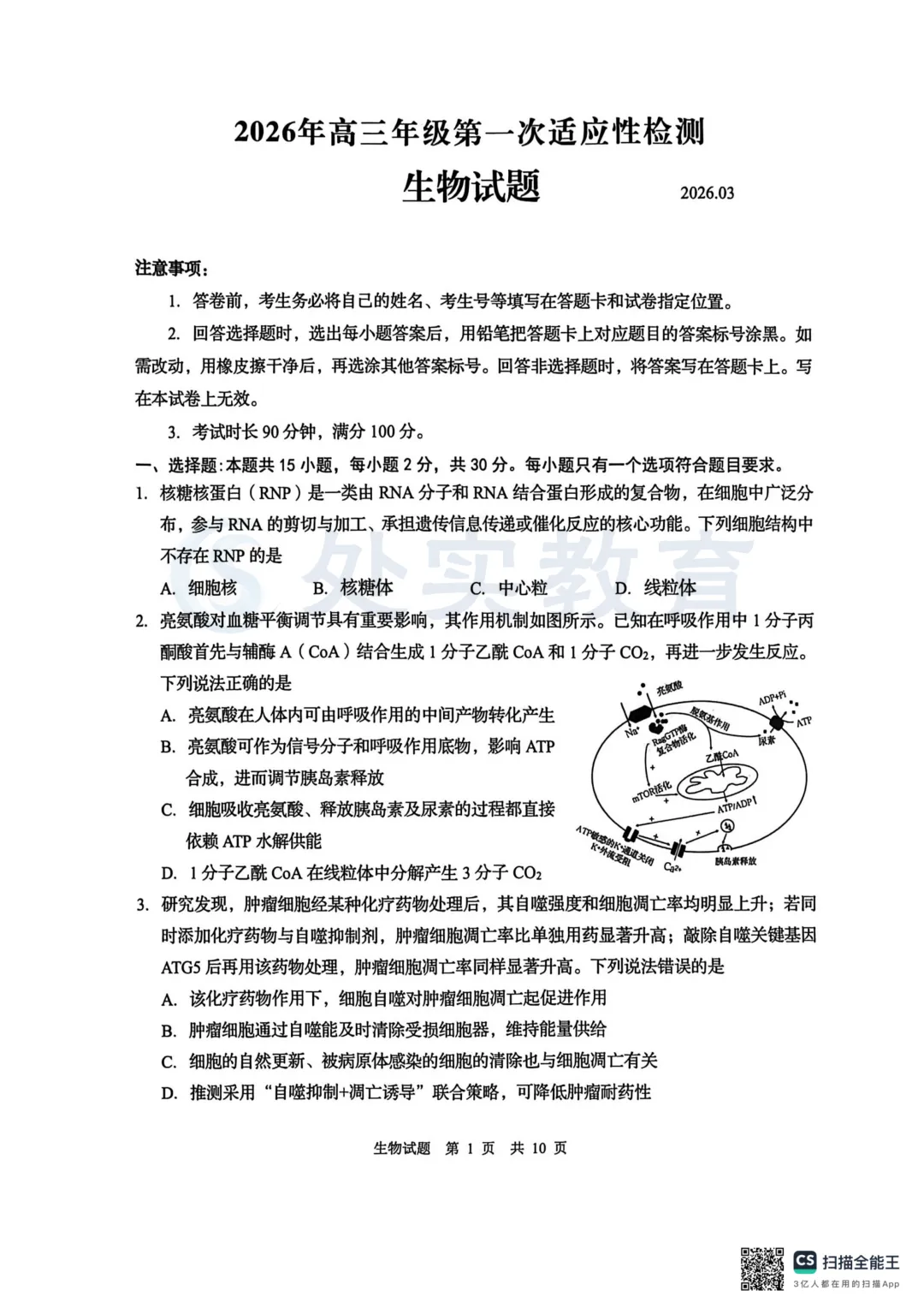 【青岛一模】2026年青岛高三一模真题:英语、历史、生物、化学 第8张