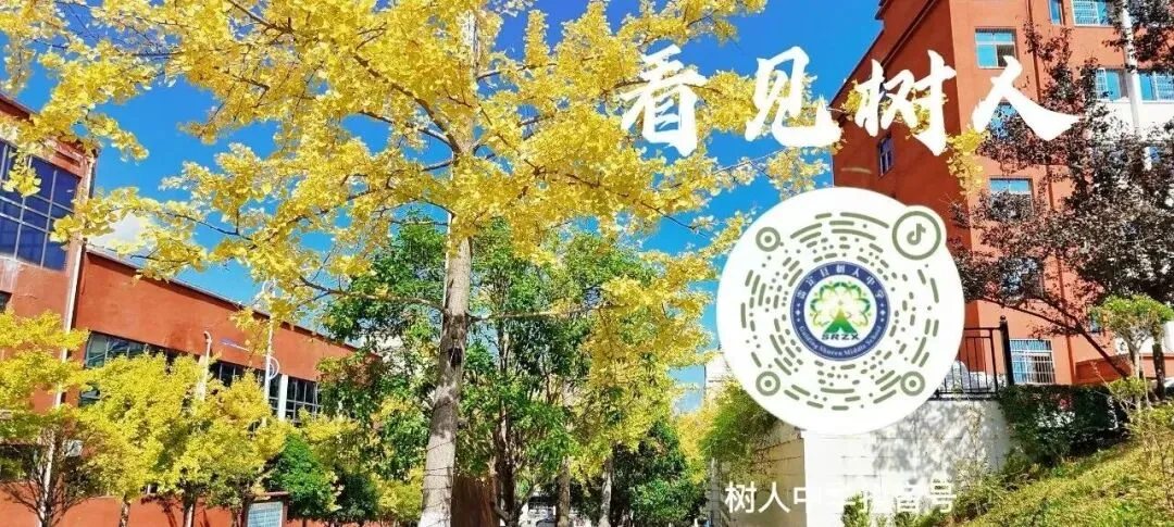 【名师送教】中考复习有“高招”!海亮名师送教树人,老师们收获满满 第1张