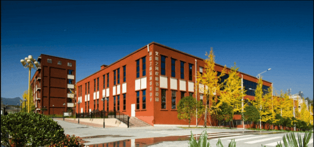 【名师送教】中考复习有“高招”!海亮名师送教树人,老师们收获满满 第12张