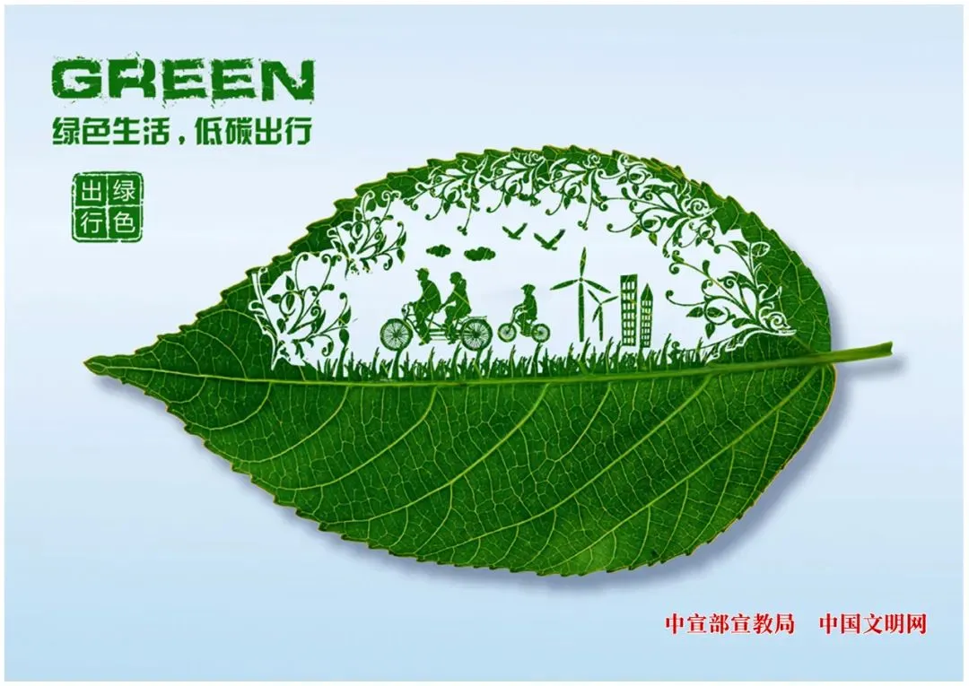 最新公布!六安市2026年体育中考实施方案 第3张