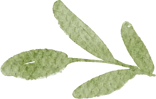 精研中考明方向 共研共修促提升 第2张