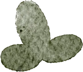 精研中考明方向 共研共修促提升 第8张