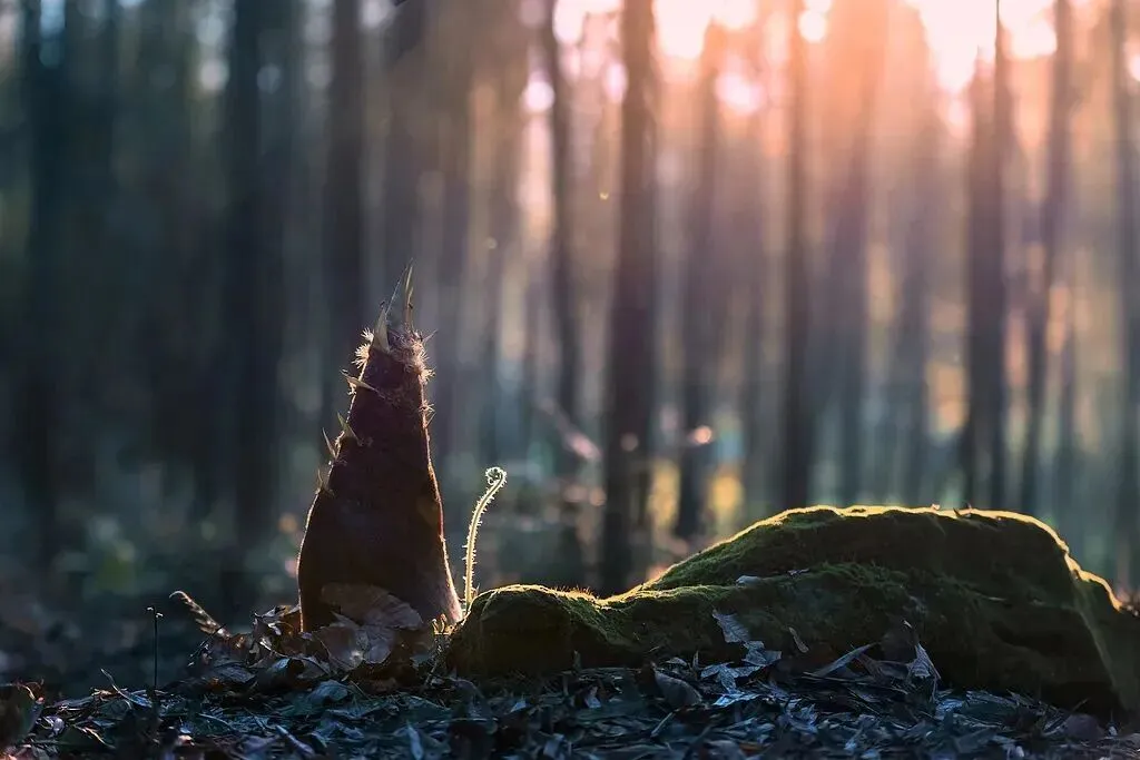 2025年广东事业单位统考面试真题汇总 第1张