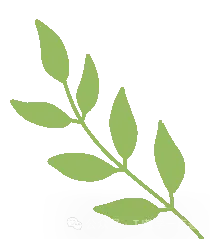 天津2026年中考:5大变革,直接影响升学 第12张