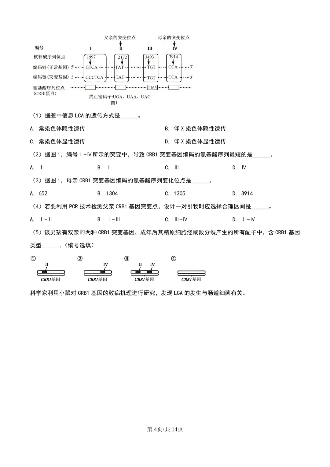 2024年上海等级考生物试卷分享(解析版) 第5张
