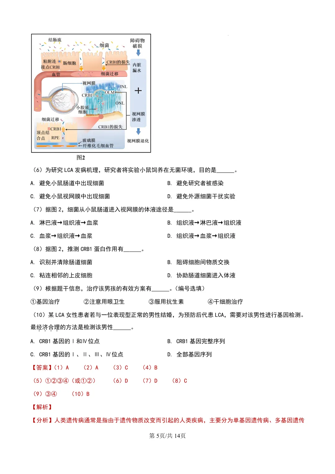 2024年上海等级考生物试卷分享(解析版) 第6张