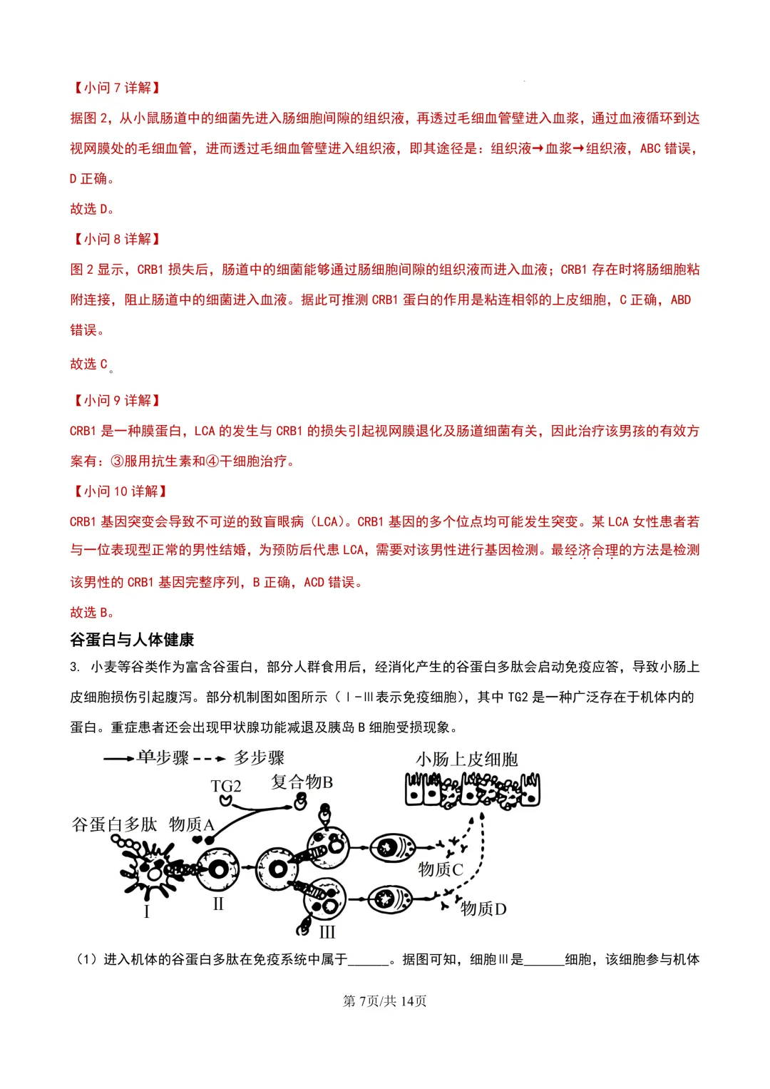 2024年上海等级考生物试卷分享(解析版) 第8张
