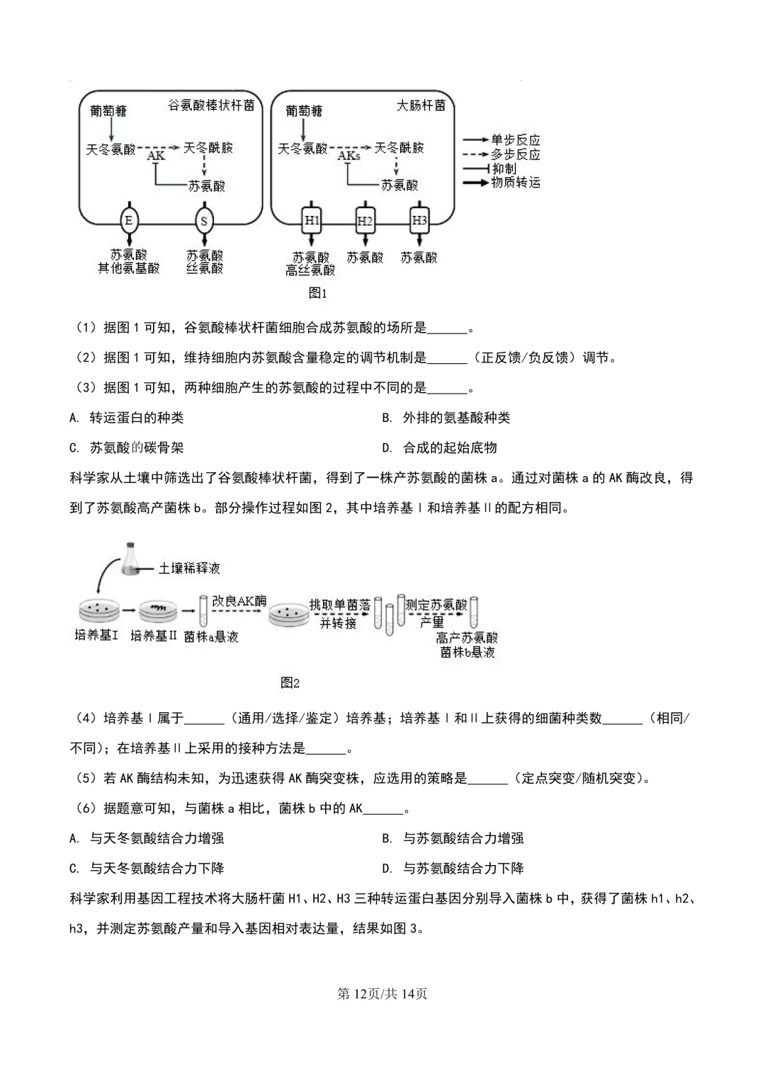 2024年上海等级考生物试卷分享(解析版) 第13张